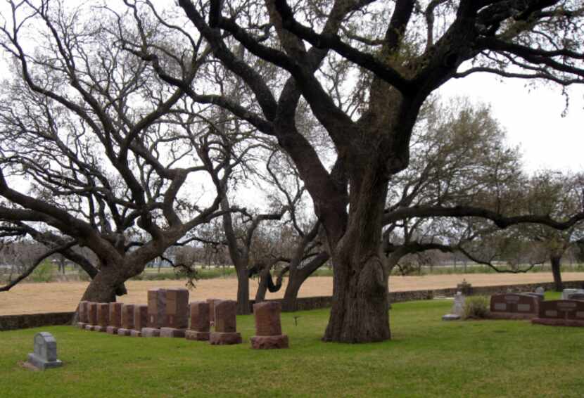 The Johnson Family cemetery is located under live oak trees near the Pedernales River in...