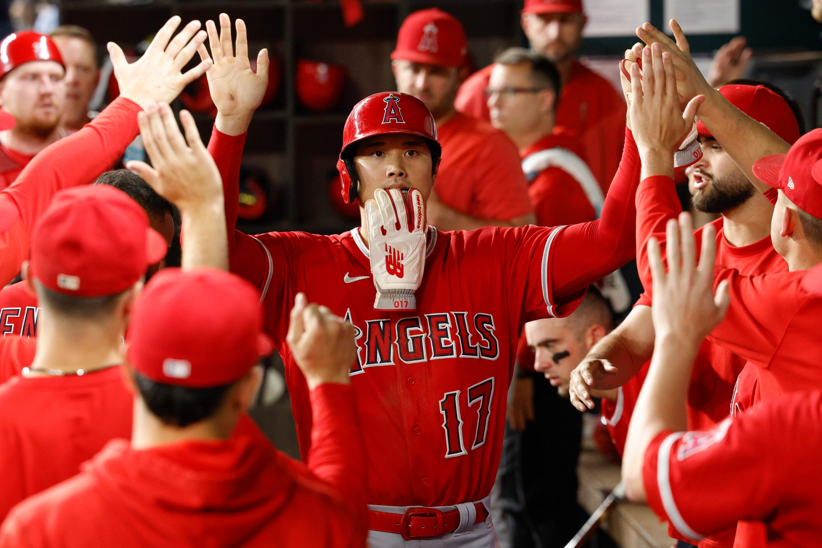 Los Angeles Angels designated hitter Shohei Ohtani (17) high-fives teammates after scoring a...