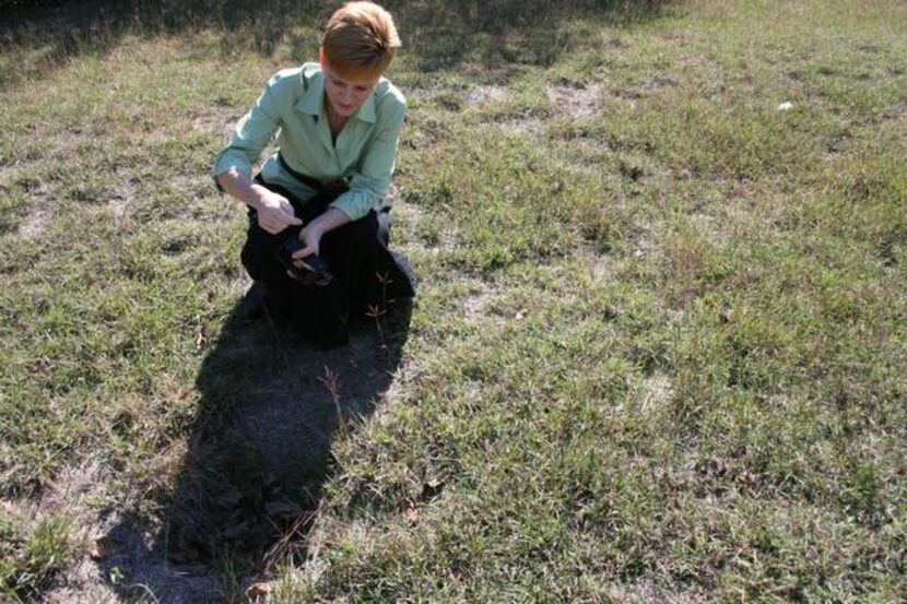 Victoria Clow kneels to examine a depression in the middle of McCree Cemetery. Clow, who has...