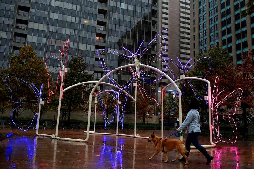 Exhibición de lucecitas en Belo Garden, en diciembre de 2020.