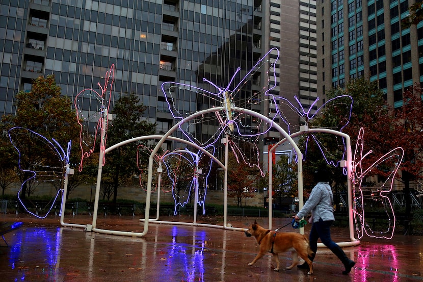 Exhibición de lucecitas en Belo Garden, en diciembre de 2020.