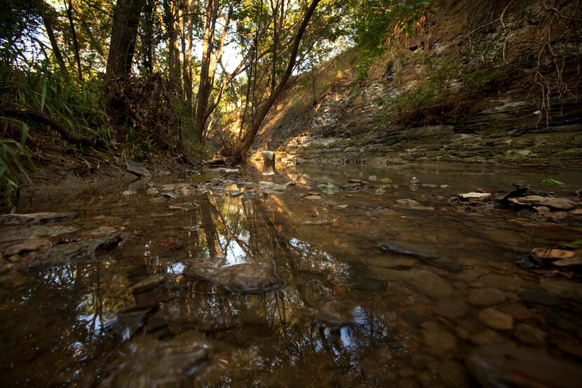 A small creek flows through Hillsboro City Park, which was once called Abbott's Grove. In...