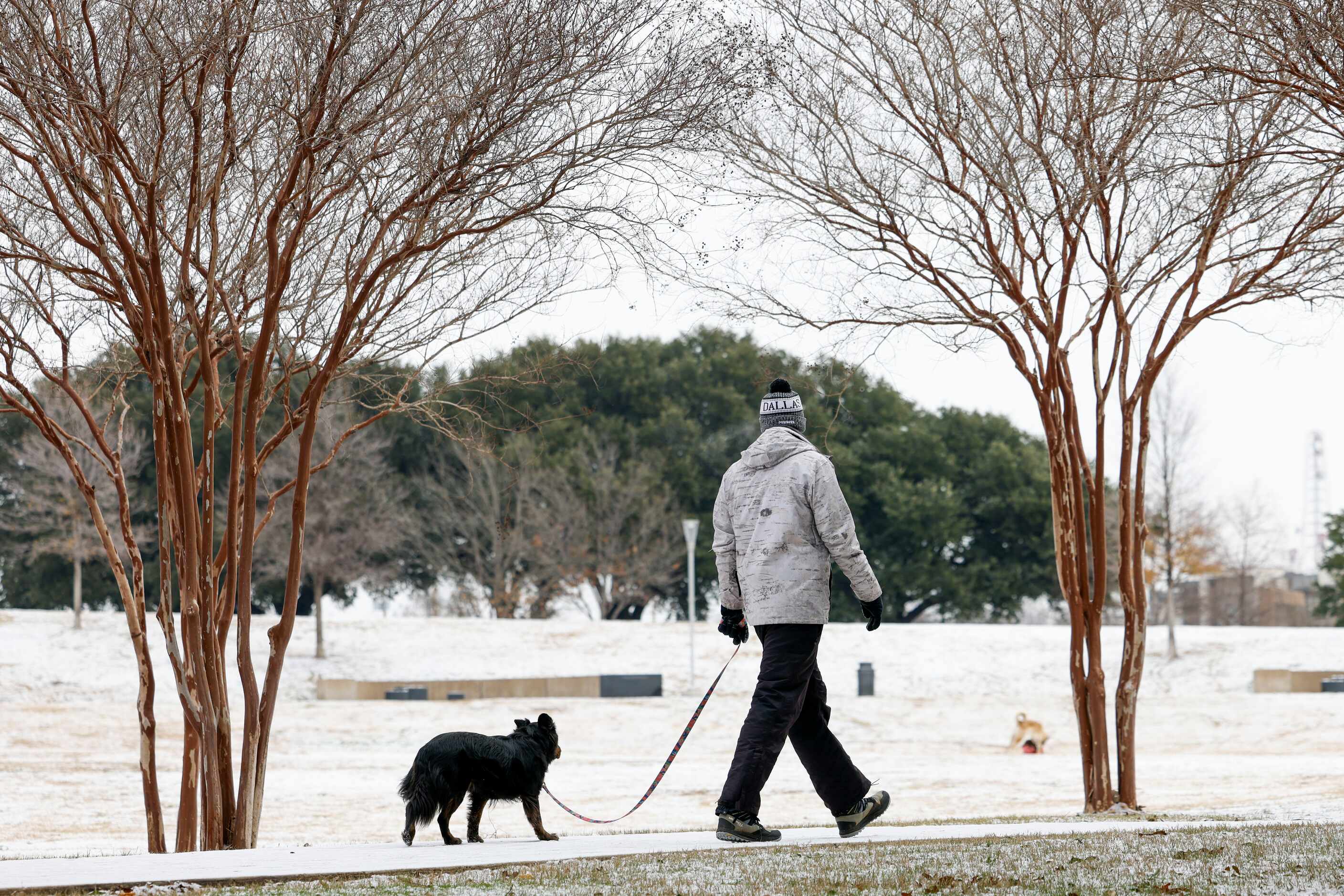 People walk their dog at snow covered Griggs Park, on Monday, Jan. 15, 2024, in Dallas. 