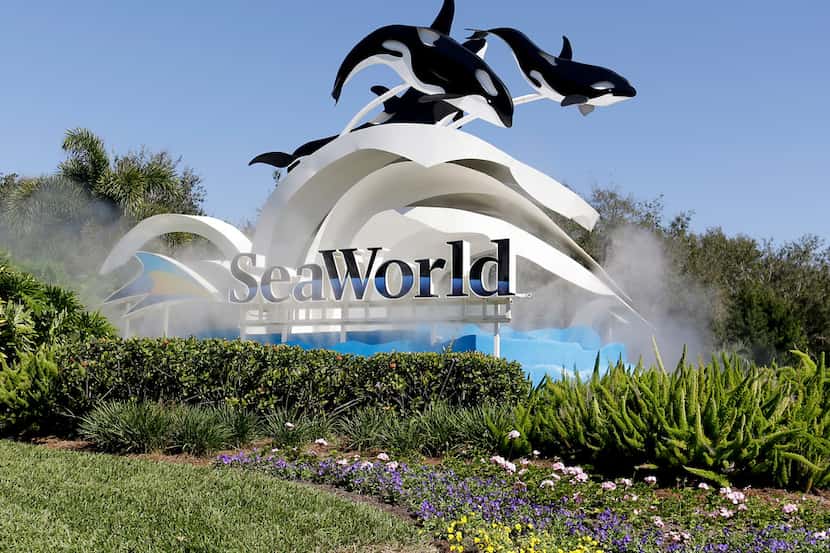 Sea World operates marine parks in San Antonio, Orlando and San Diego.