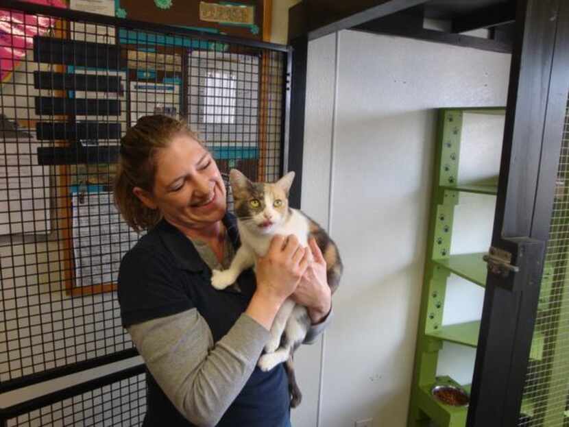 
Stephanie Hall, director of operations for Second Chance SPCA in Plano, shares a moment...