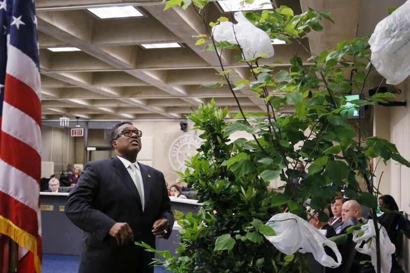 Caraway brought fake plastic trees and plastic bags to Dallas City Hall in June 2015 in an...