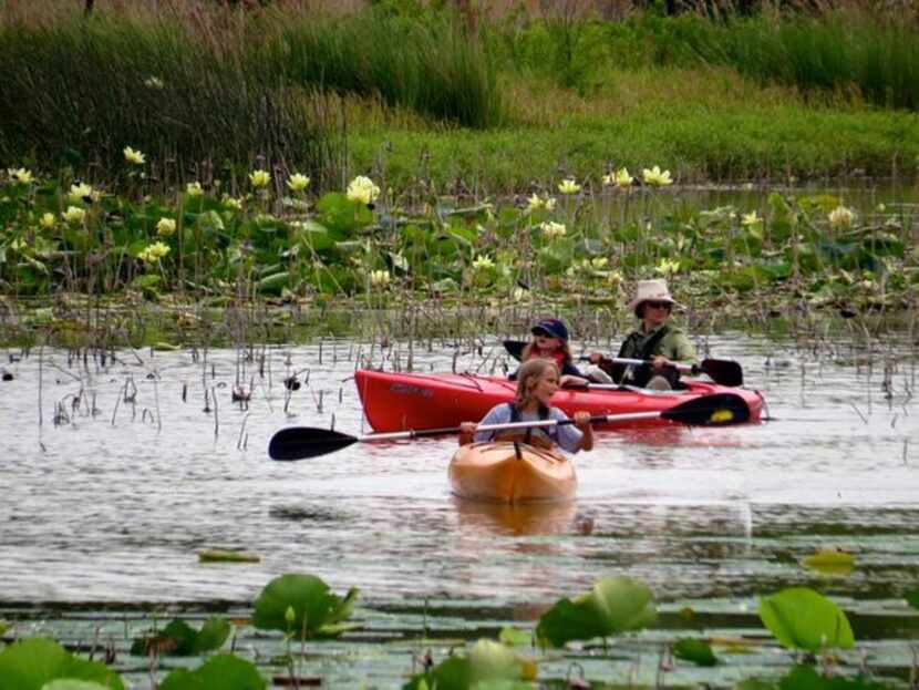 
The Lewisville Lake Environmental Learning Area offers a variety of family activities...