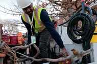 Utility contractor Khaild Waarith holds a lead pipe that was removed in Chicago on April 10,...