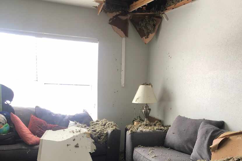 Burst pipes damaged one of The Family Place's transitional housing apartments where moms and...