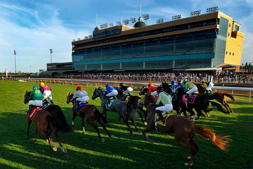 The field of horses sprint from the start gate as they kick off the thoroughbred season...