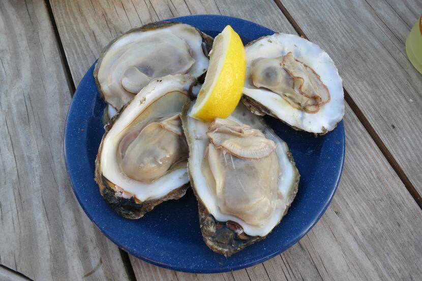 The Mingo Point Oyster Roast and Barbecue hosted by Kiawah Island Golf Resort provides...