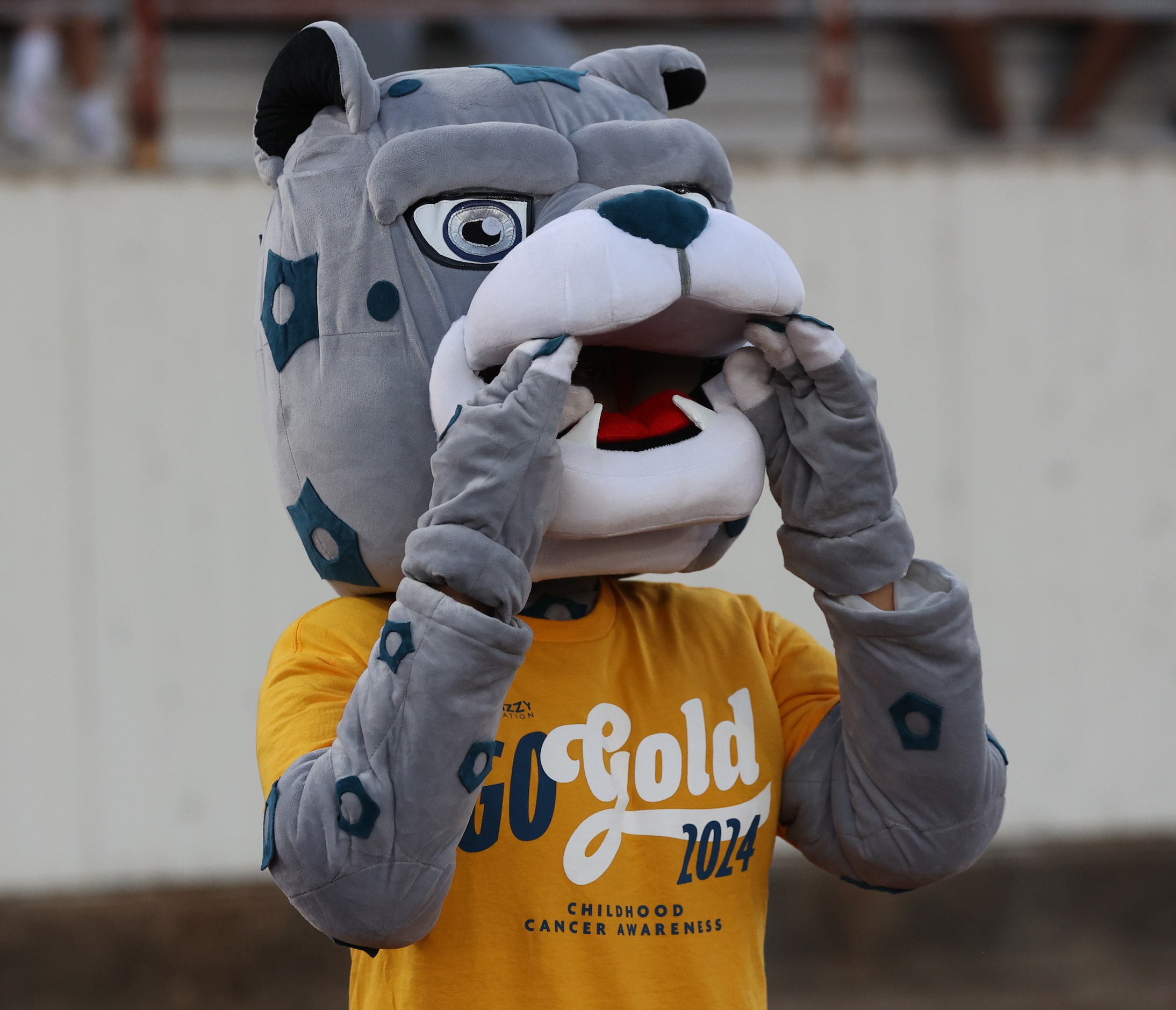 The Molina high Jaguars mascot yells encouragement to the team during the first half of a...