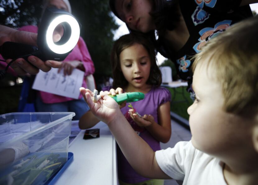 Sarah Friedl, 6, and her brother Pucci, 3, get a up close look at silk worms during a...