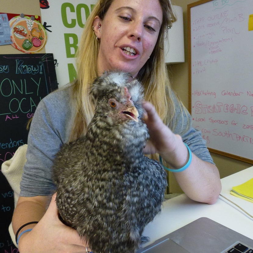 Kevin the chicken and Casey Cutler, director of Good Local Markets, have a convo. 