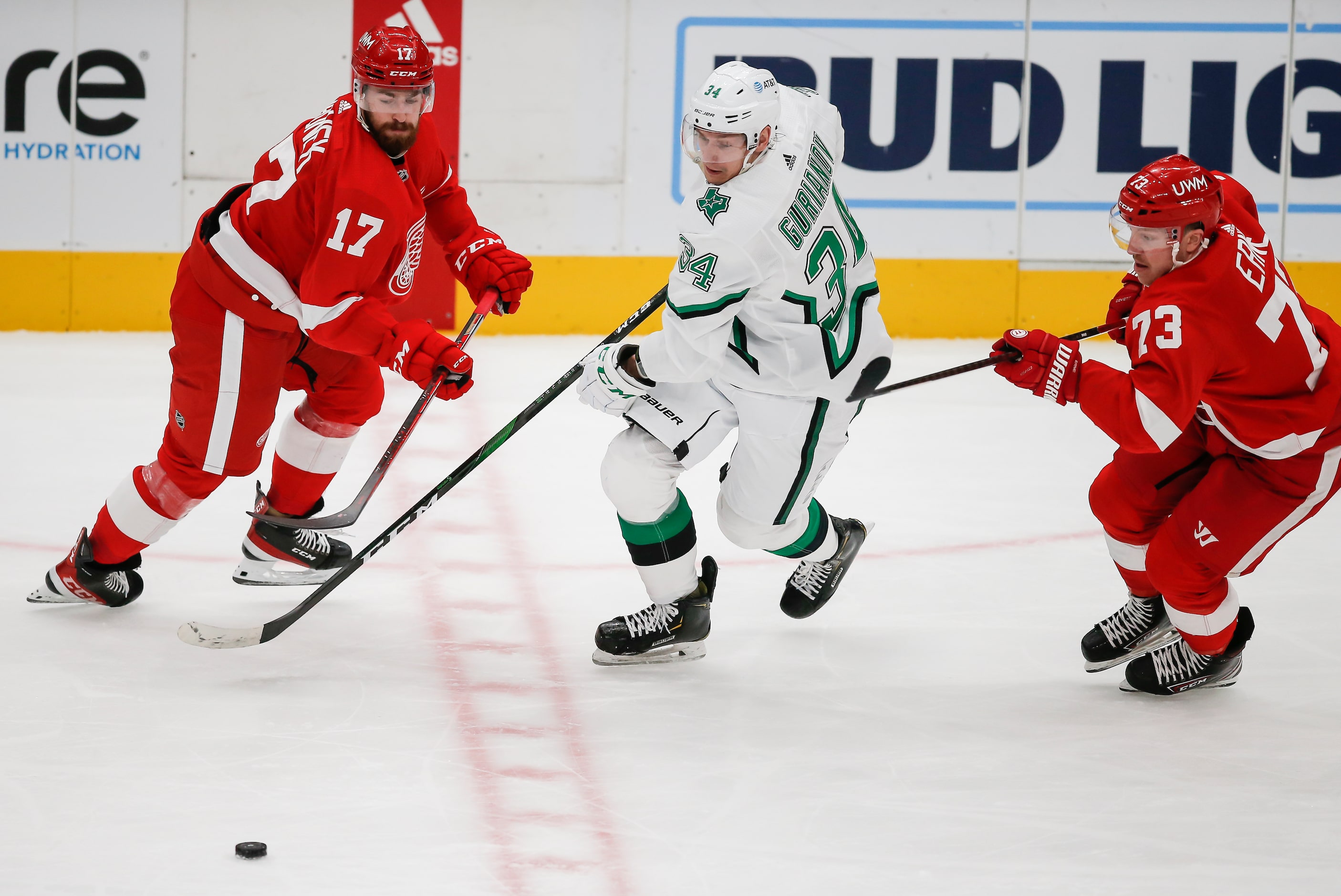 Dallas Stars forward Denis Gurianov (34) battles Detroit Red Wings defenseman Filip Hronek...