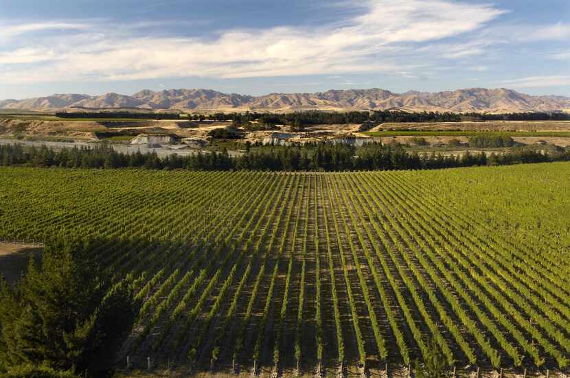 Spy Valley  and Kim Crawford wineries are located in the Marlborough region of New Zealand.