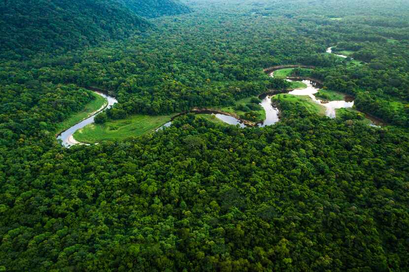 Una sección de la Selva Amazónica en Brasil.