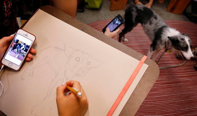 
Booker T. Washington visual art students create portraits of Candy the dog as a part of the...