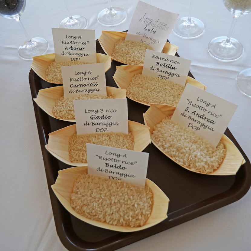 At a food-and-wine immersion conference in Piedmont, Italy, various types of rice were...