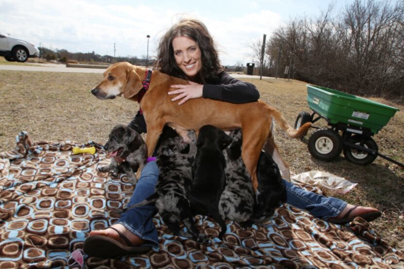 Jennifer Chatelain with her dog Annabella and her puppies at the Arbor Hills Nature Preserve...