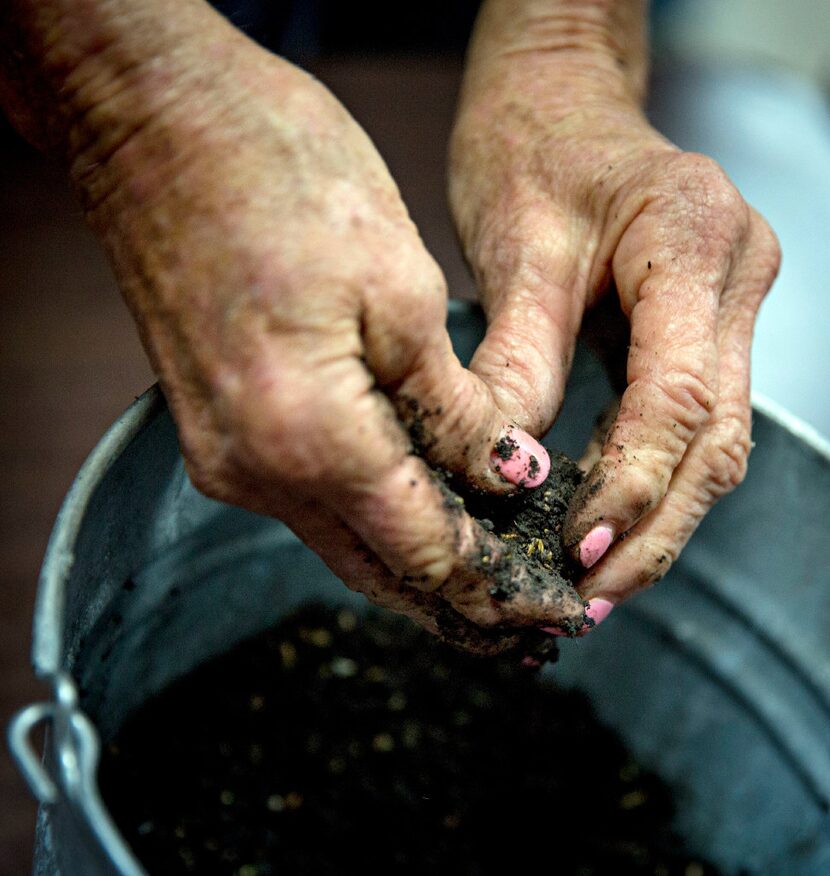 Sara Roland creates "seed bombs" out of clay, compost and seeds.