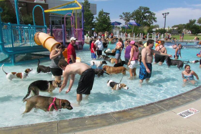Keller's Doggie Dunk, which was rained out last weekend, has been rescheduled for Saturday.