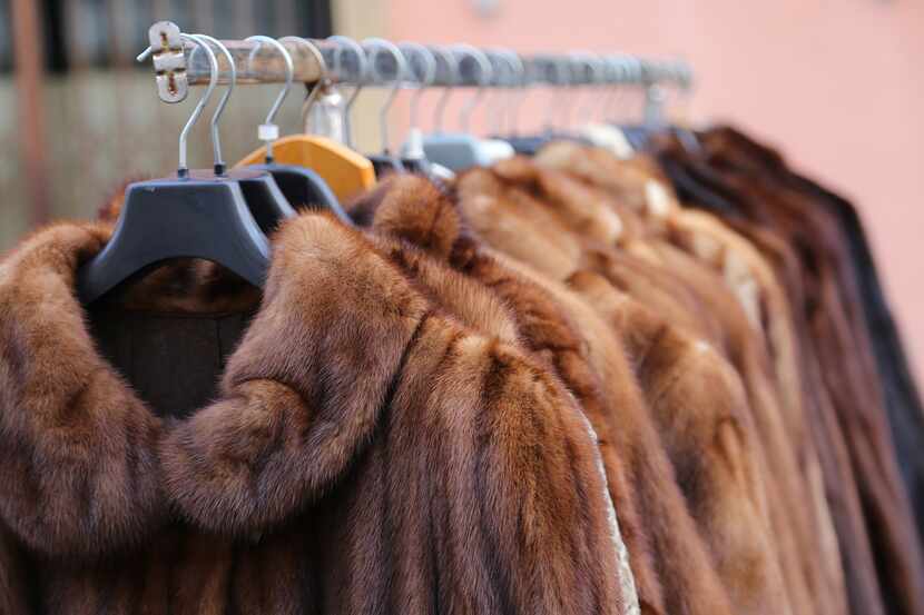 Abrigos de piel animal en una tienda de lujo.
