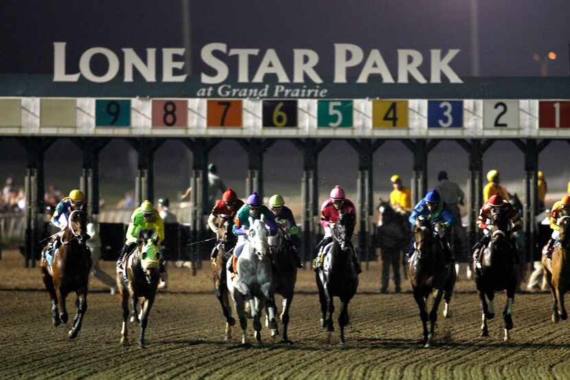 The field of horses leave the starting gate in the Texas Mile stakes race at Lone Star Park...