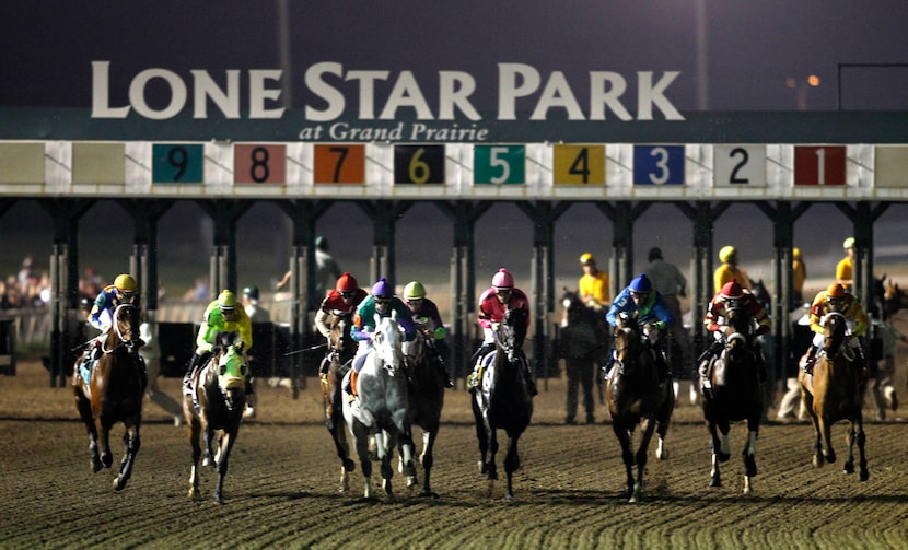 The field of horses leave the starting gate in the Texas Mile stakes race at Lone Star Park...