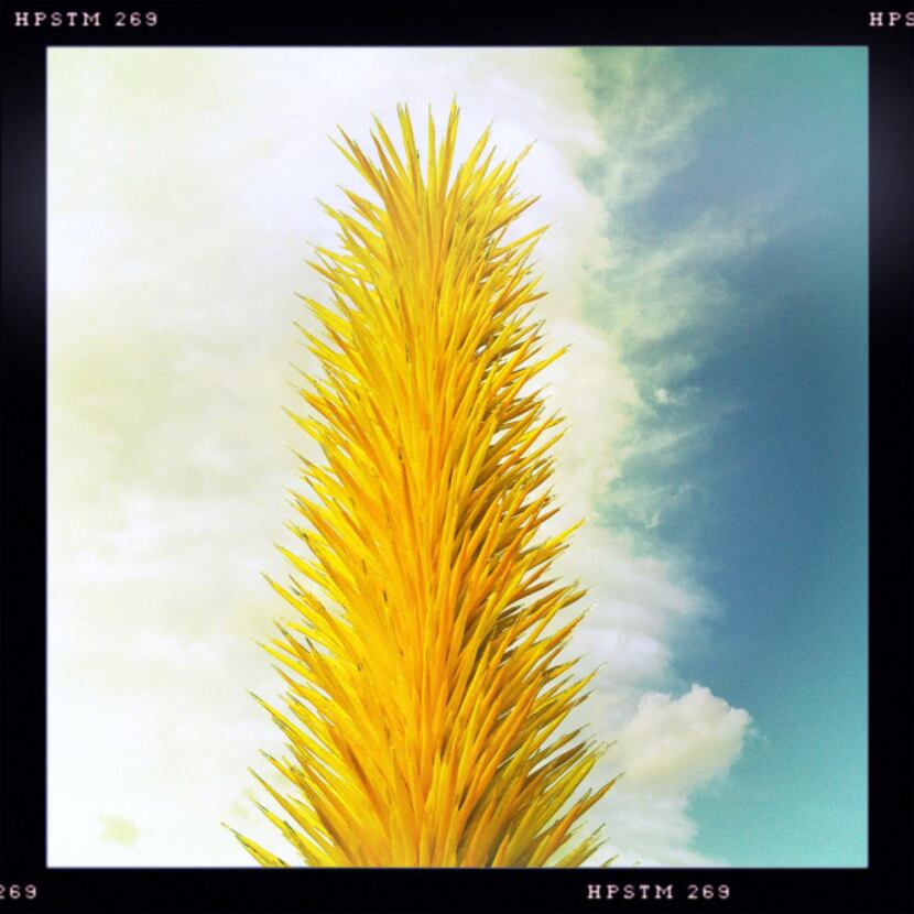 Chihuly's Yellow Icicle Tower is seen in the Jonsson Color Garden of the Dallas Arboretum....