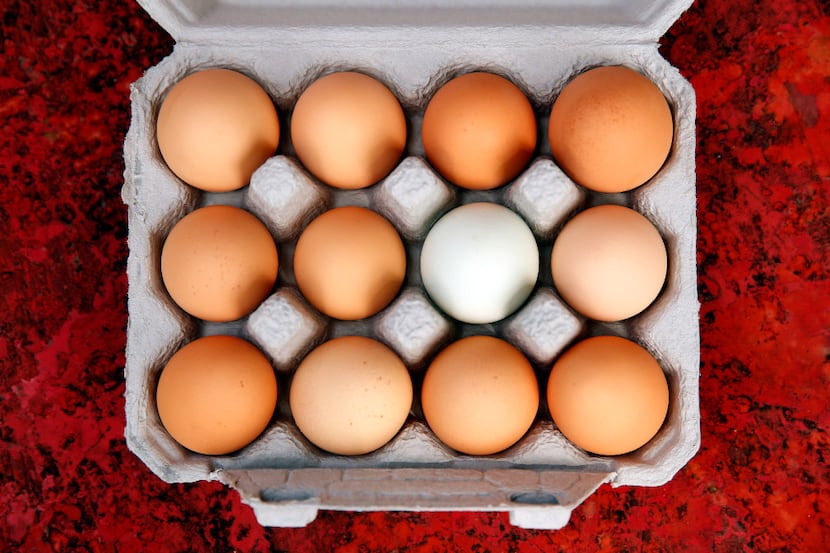 A fresh dozen eggs are placed in a carton and chilled on the Bois d'Arc farm in Allens...