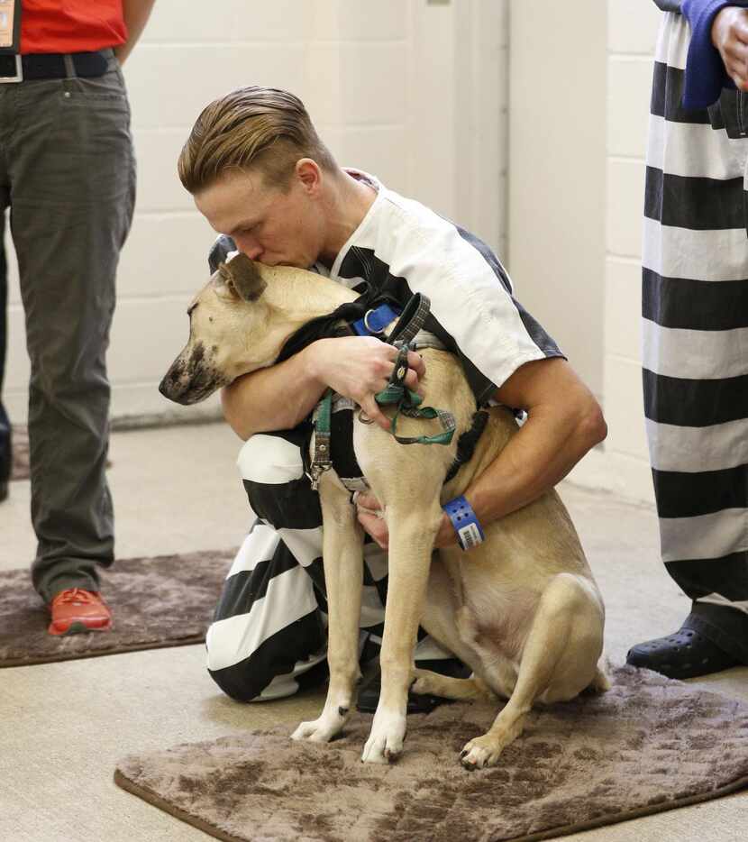 Brian Whitely besa a T-Bone, parte del programa Kays Tower Jail en Dallas. NATHAN HUNSINGER/DMN
