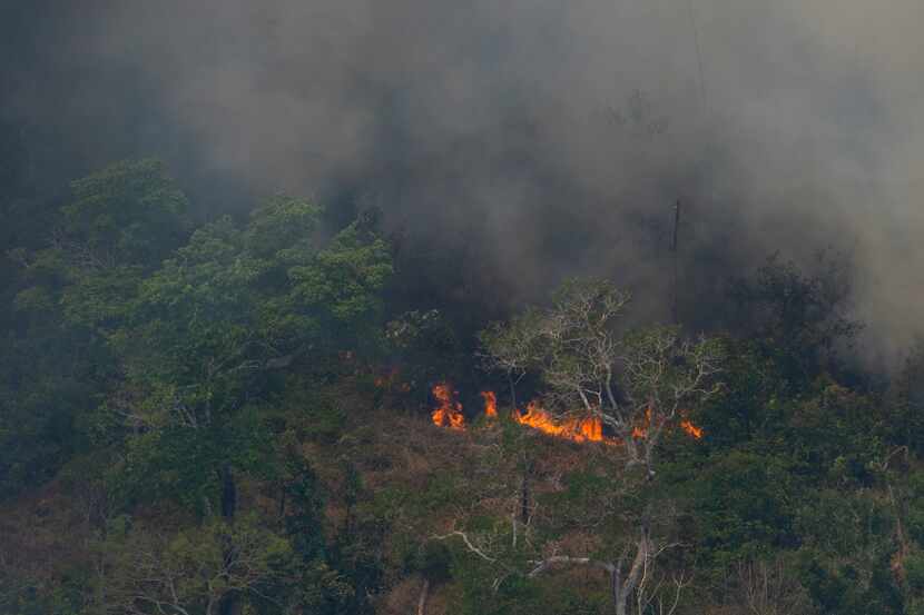Incendio en una sección de la selva de Porto Velho en Brasil.