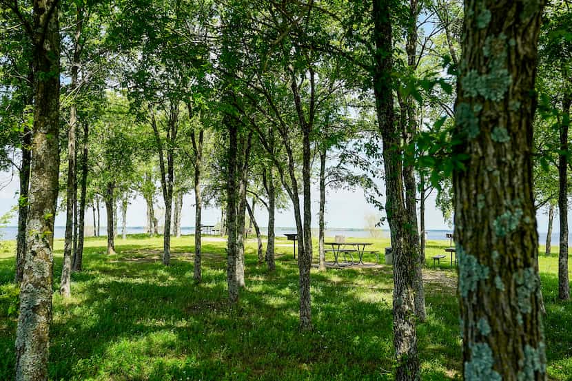With 376 acres of oak forest and five miles of lakeshore, Lake Tawakoni State Park is a...