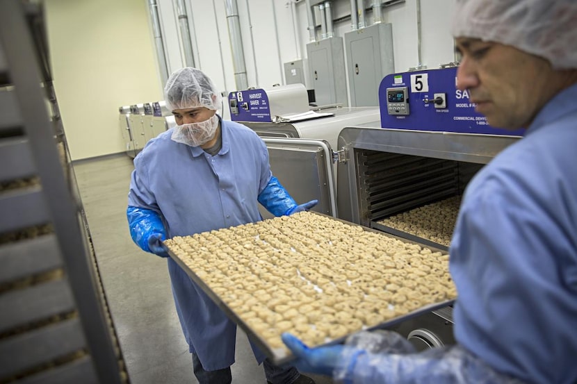 Angel Perez (left) and Aaron Vega  move cookie dough bites to cooling racks. Hail Merry, in...