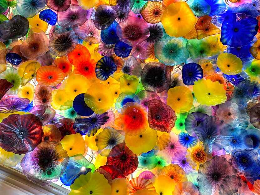 Artist Dale Chihuly's installation of colorful handmade glass flowers has guests at the...
