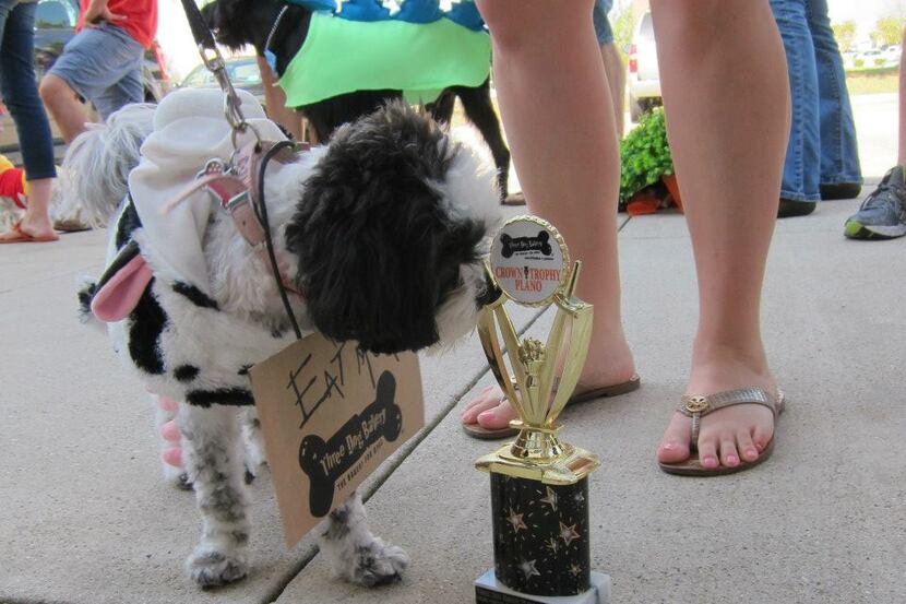 Braylee won for cutest costume during a previous Howl-O-Ween at Three Dog Bakery in Plano....