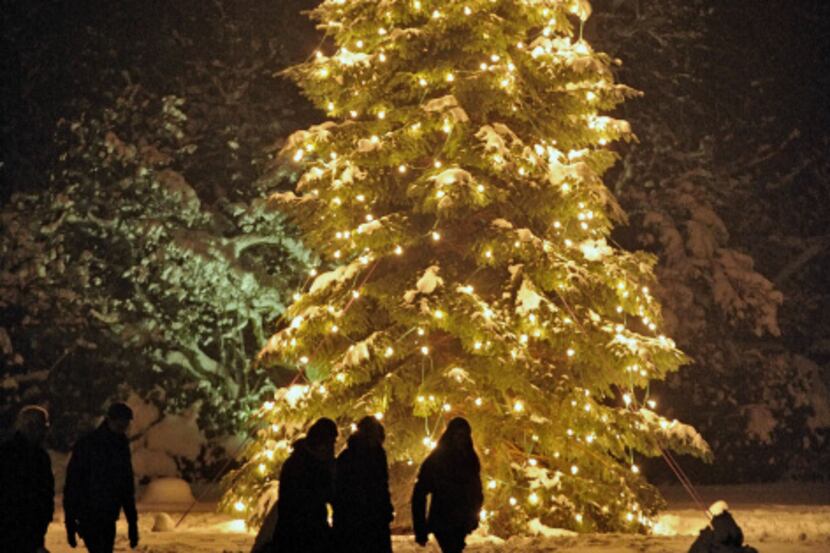 How about a winter walk next to an illuminated Christmas tree in Gelsenkirchen, Germany?