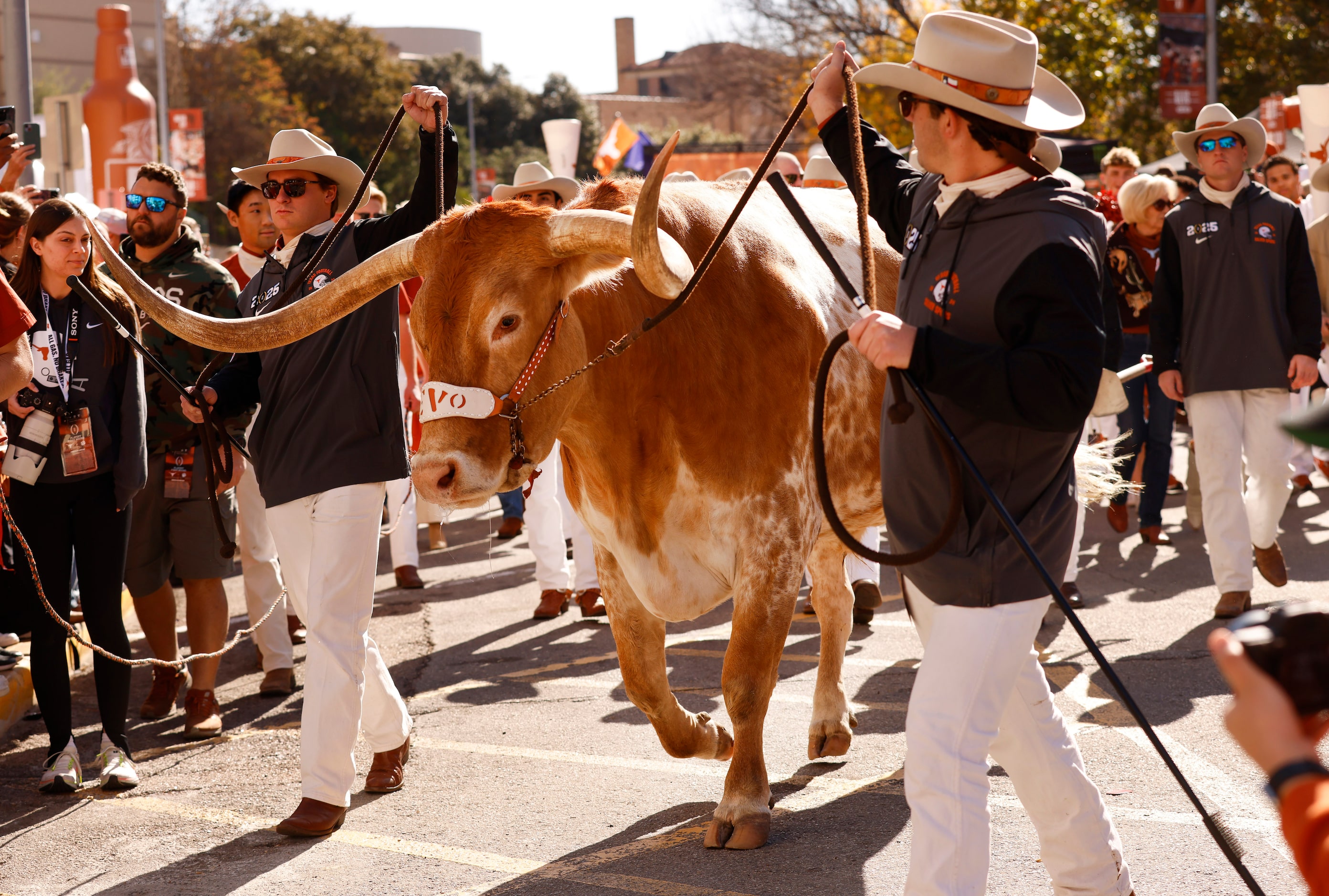 Guided by the Silver Spurs, Bevo, the Texas Longhorns mascot, arrives for the CFP first...