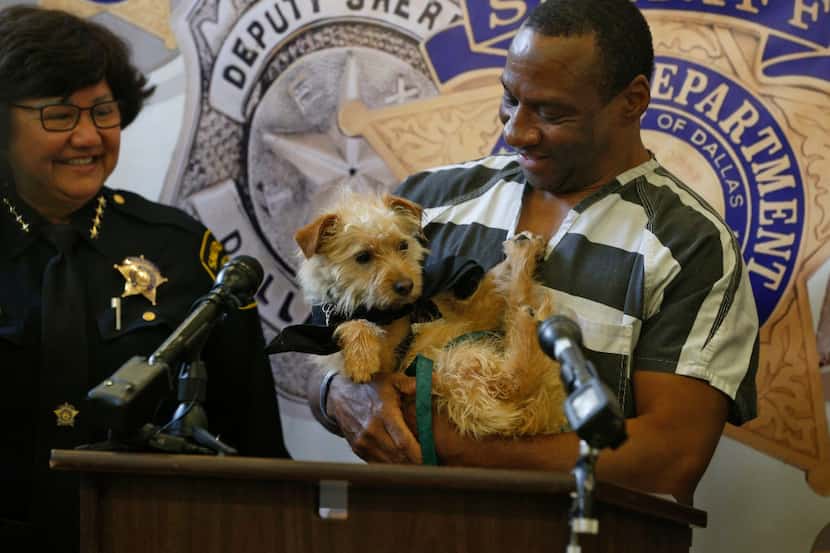 Dallas County Sheriff Lupe Valdez (left) looks on as Thomas Chambers holds the dog "Dallas"...