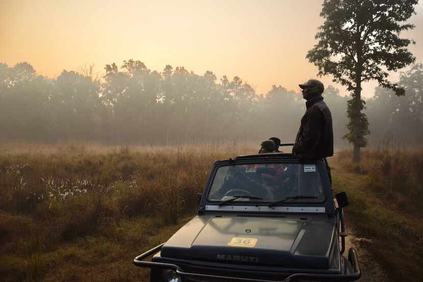 A wildlife spotter from the local Baiga tribe scans the horizon in Kanha National Park. 