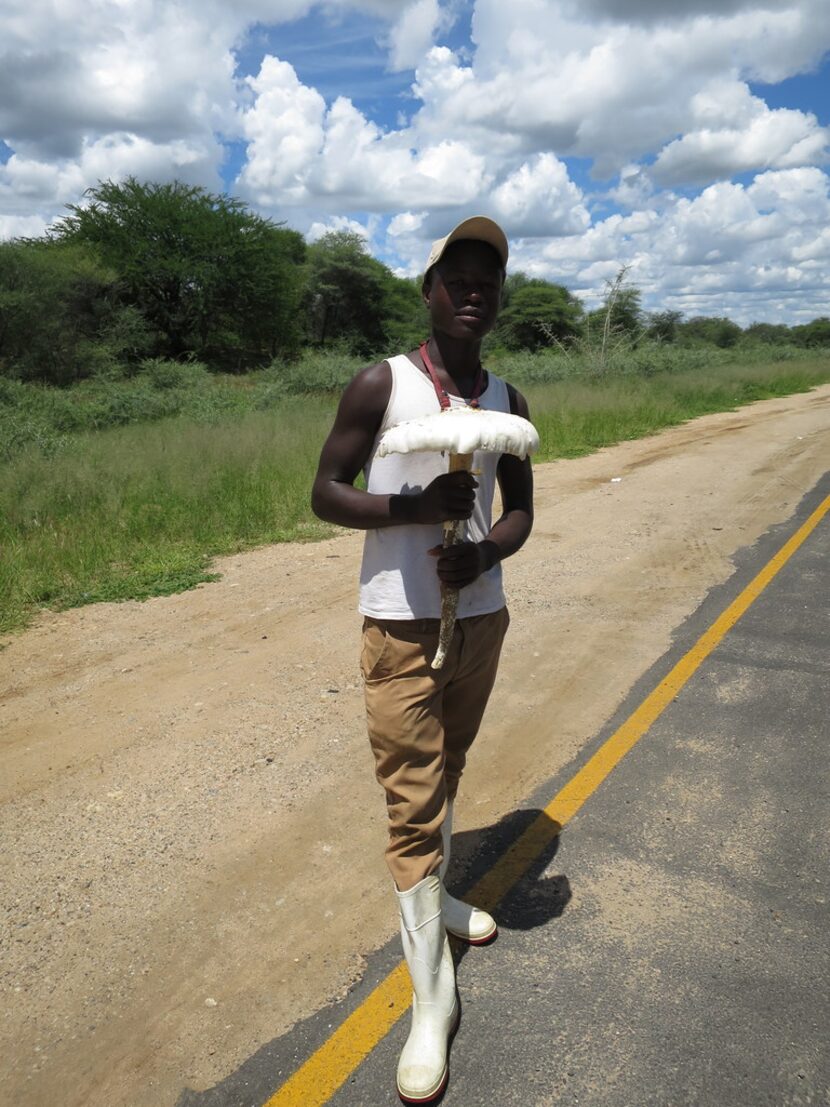 A streetside vendor selling an omajova mushroom in Namibia. 