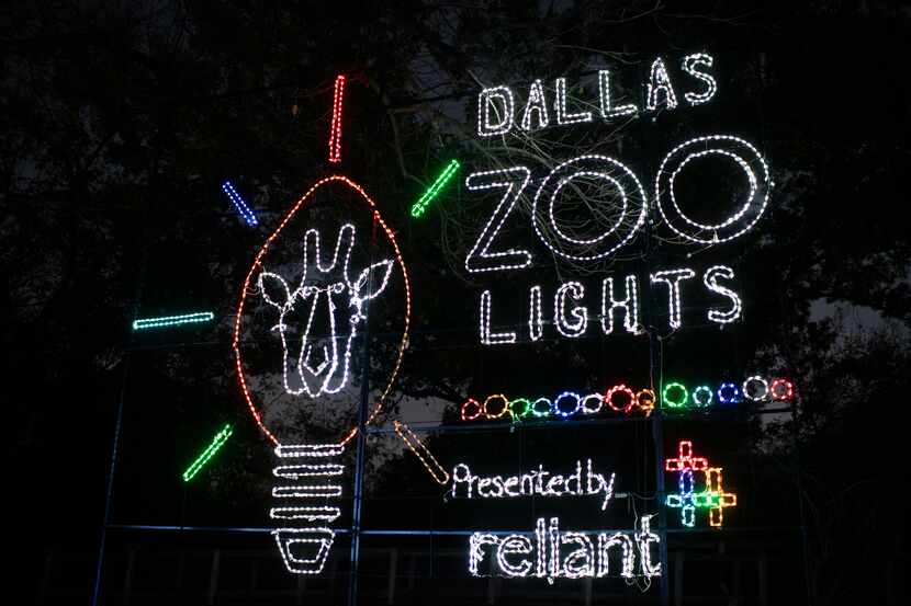 El zoológico de Dallas tiene un espectáculo de más de un millón de lucecitas en una ruta de...