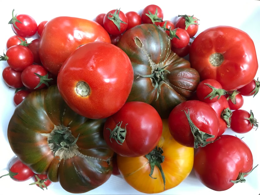 Heirloom tomatoes