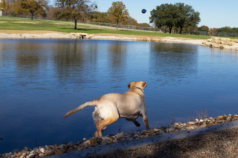  The new ZBonz dog park in Fort Worth features two aerated ponds. (City of Fort Worth)