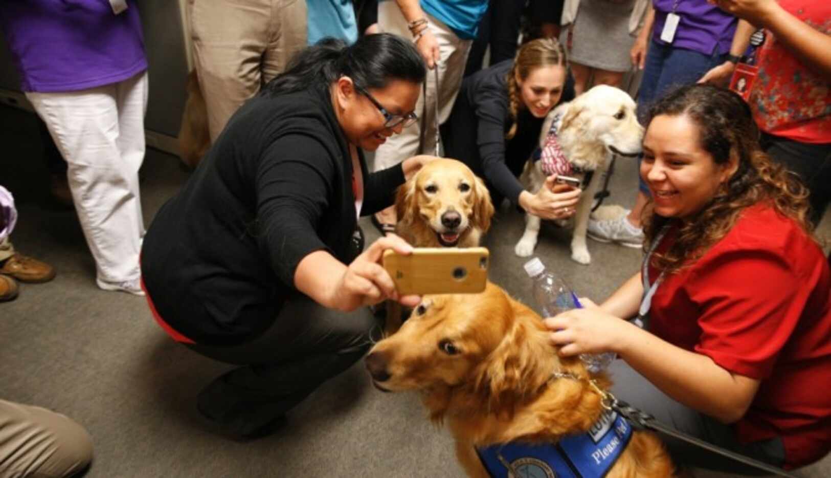 
				La redacción de Al Día y el Dallas Morning News interactuaron con los perritos expertos...