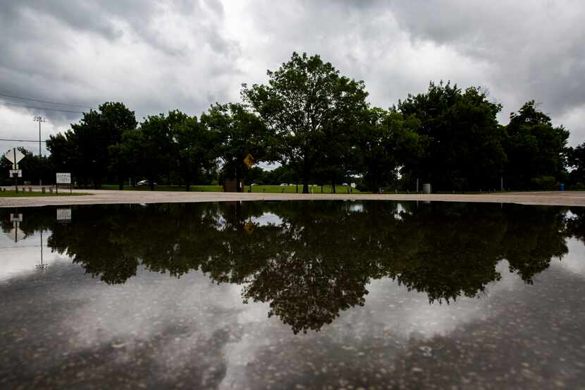 Rain clouds and trees are reflected in a puddle in the parking lot of Andy Brown Park West...