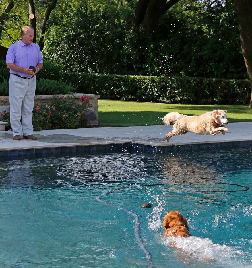 TCU head football coach Gary Patterson watches as his dogs play in the swimming pool at his...