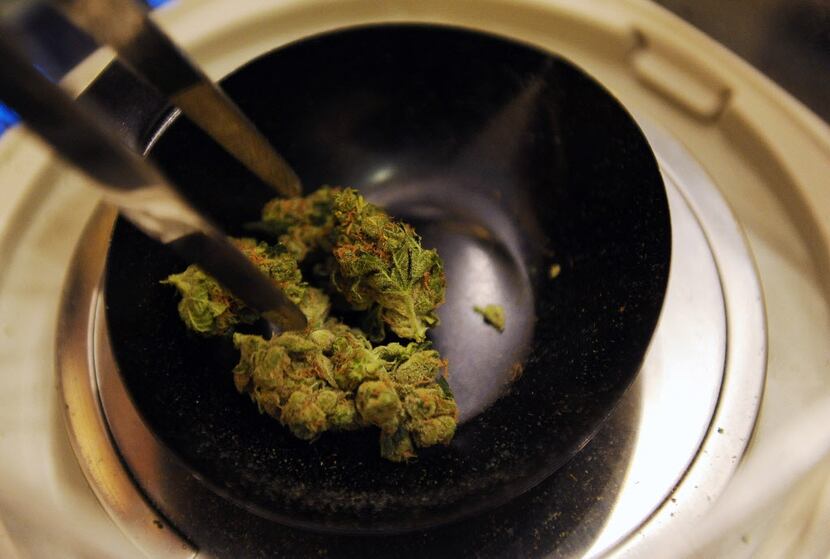 Marijuana on a scale at the Northern Lights Cannabis Co. on Friday, Jan. 24, 2014, in...