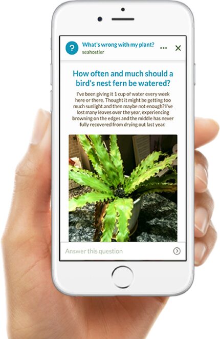 Get answers on the Grow It! app.